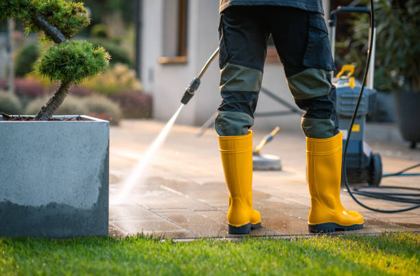 Best House Pressure Washing  in Schriever, LA